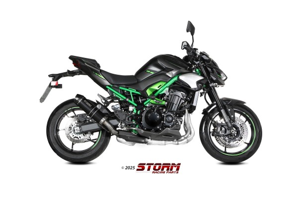 Kawasaki_Z900_2025-_74K062LXSBC_01.jpg