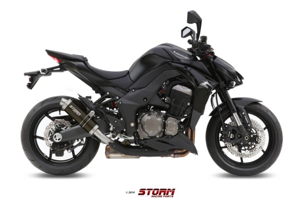 Kawasaki-_Z1000_2014-_73K039LXSB_-01_PPG.jpg